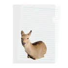 monaca vingt-troisのcerf Clear File Folder