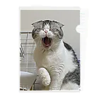 No Cats No LifeのMee3 Clear File Folder