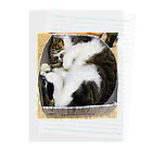 猫のhananyanのむちっパート2 Clear File Folder