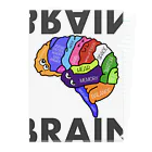 NバクのBrain【脳】 Clear File Folder