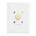 mincora.の貝がら seashells Clear File Folder