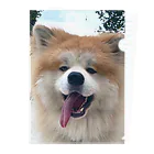 mofuakitaのBIG SMILE AKITA Clear File Folder