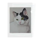 まつひろの猫 Clear File Folder