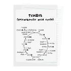 第3理科準備室のTCA回路 クリアファイル