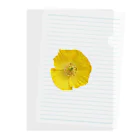 umameshiのポピーの花 / poppy flower Clear File Folder