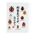 くいなの母の肉食系ですが、何か？(テントウムシver.) クリアファイル