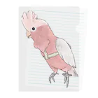 まめるりはことりのご機嫌モモイロインコちゃん【まめるりはことり】 Clear File Folder