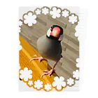 推しのある人生をの文鳥のはるさめちゃん Clear File Folder