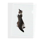 26giのぺたんねこ Clear File Folder