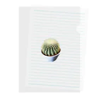 POJO  CACTUSの金鯱 グルソニー Clear File Folder