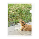 RUNARUNA_SHOPの柴犬わんこ Clear File Folder