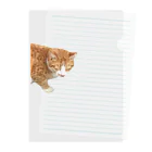 高橋のひょっこり猫 Clear File Folder