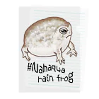 LalaHangeulのNamaqua rain frog(なまかふくらがえる) 英語バージョン Clear File Folder