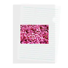 てくてく写真館の芝桜 Clear File Folder