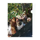 アビちゃん&ショップの三毛猫グッズ Clear File Folder