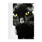 黒木さんちの黒猫の黒木さんちの黒猫Ｂ Clear File Folder