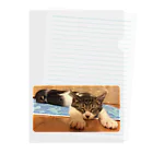 南の島のにゃんこの飛べるポーズで眠るパル～南の島のにゃんこ～ Clear File Folder