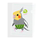 LittleLoroのノーマルオカメインコ スイカパンツ Clear File Folder