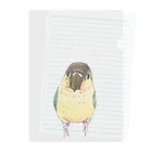 まめるりはことりの可愛いウロコメキシコインコちゃん【まめるりはことり】 Clear File Folder