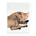 ChoboTora24の眠り猫ちゃん達 Clear File Folder