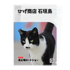 Cats Digital Marketing 【ひげ商店 石垣島】のひげちゃん　クリアファイル Clear File Folder