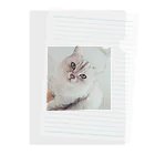 kawaiiの猫 Clear File Folder