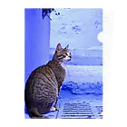 ちょろ母ねこ写真グッズのモロッコねこ〜シャウエン2 Clear File Folder