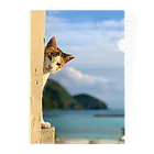 ちょろ母ねこ写真グッズの阿嘉島ねこ2 Clear File Folder