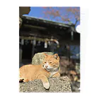 ちょろ母ねこ写真グッズの男木島ねこ2 クリアファイル