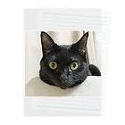 😸Kiyoshi😸の黒猫komo Clear File Folder