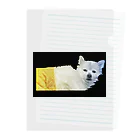 iＮUの起きた犬 Clear File Folder