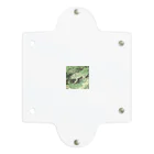 Fantastic FrogのFantastic Frog -Paper Money Version- Clear Multipurpose Case