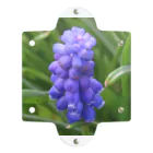 でおきしりぼ子の実験室のMuscari botryoides(1:1) Clear Multipurpose Case