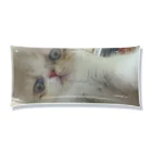 potapotaのブサカワﾆｬﾝｺ🐈 Clear Multipurpose Case