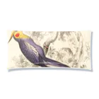 J. Jeffery Print Galleryの博物画　オカメインコ クリアマルチケース