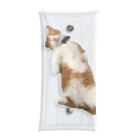 どりの店の短足マンチカン  どり🐱 Clear Multipurpose Case