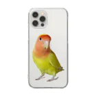 お騒がせインコストーリーのコザクラインコ Clear Smartphone Case