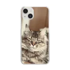 保護猫ファミリーの虎徹コレクション Clear Smartphone Case