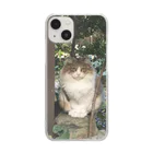 PLANET OF CATS ねこの惑星のmofuneco4 Clear Smartphone Case