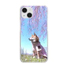 柴犬グッズ専門店 あられ堂の柴犬　桜シリーズ　満開の桜002 Clear Smartphone Case