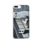 ナスボの野生の猫 Clear Smartphone Case