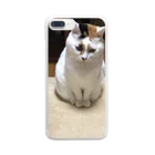 あき@ぽんず(Photo account📸)の目付きの悪い猫さん クリアスマホケース Clear Smartphone Case