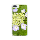 ばりこ@なりこ@ポジティブの咲きはじめの紫陽花 Clear Smartphone Case