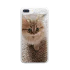 愛猫自慢ストアのココちゃん Clear Smartphone Case