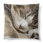 あゆのしおやきの猫(キジシロ) Cushion