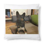 カエルのハンモクでゆたりしてる犬 Cushion