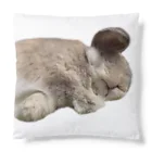 たれみみちゃんねるのおひるねせきとちゃん Cushion