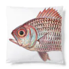 えびな商店のセグロマツカサ(ターコイズ) Cushion