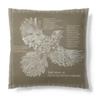 雁花工房（寄付アイテム販売中です）のWild plants of HOTOKENUMA-wetlands（黒線+白線） Cushion