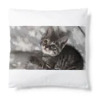 ブティックNENE🐾のネネの仔猫時代 Cushion